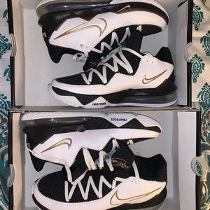 Men’s Nike Lebron James 17 size 8.5 and 9.5. $100